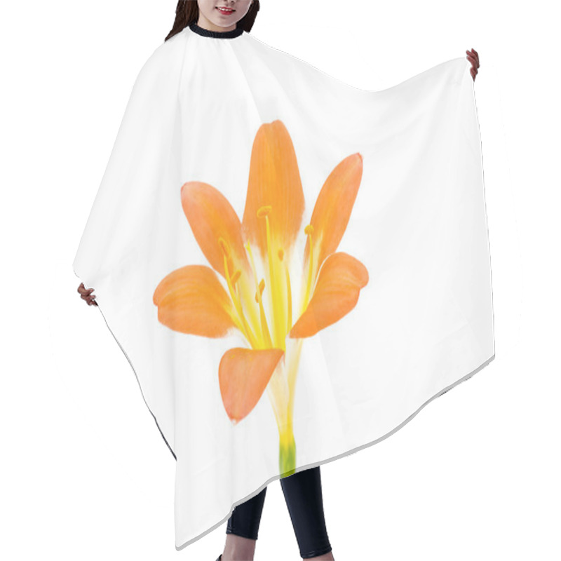 Personality  Flower From Clivia Amaryllis Hair Cutting Cape