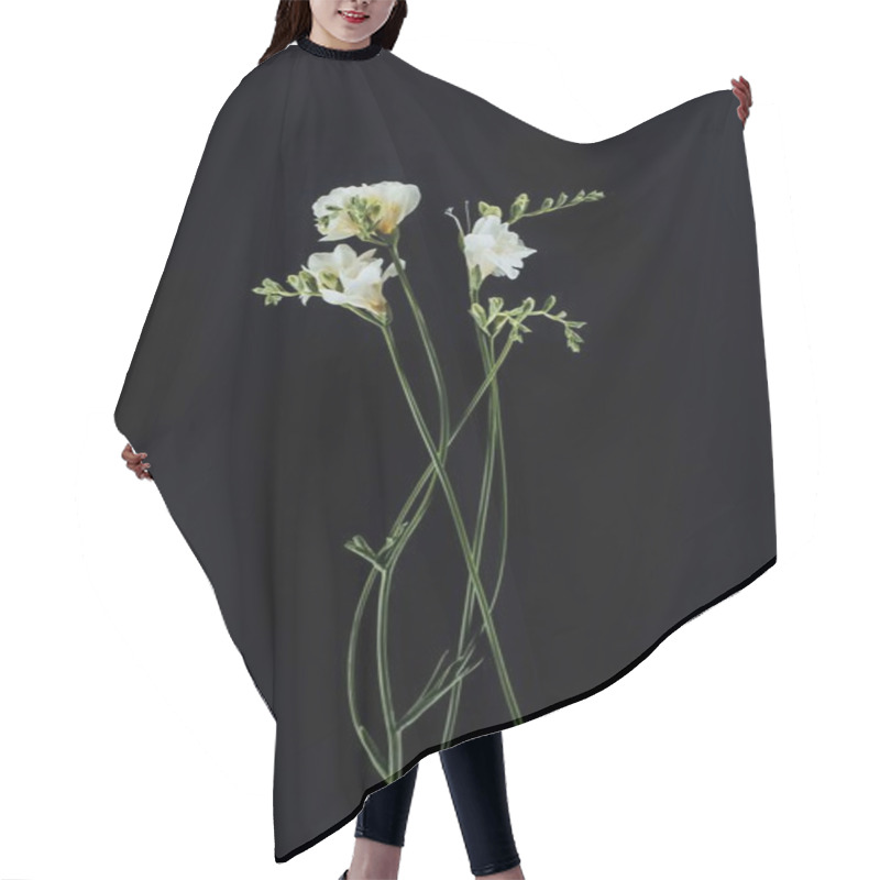 Personality  Beautiful Freesia Flowers With Stems Isolated On Black Hair Cutting Cape