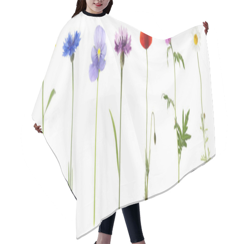 Personality  Collection Of Different Beautiful Wild Flowers On White Background. Banner Design Hair Cutting Cape