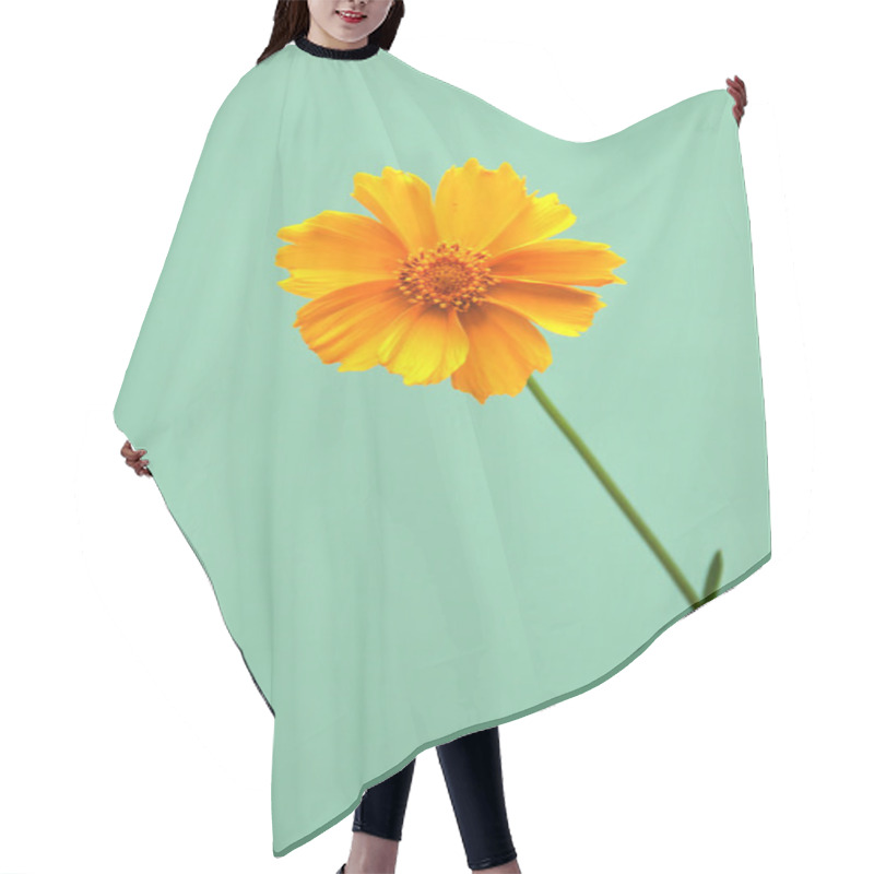 Personality  Single Daisy Hair Cutting Cape