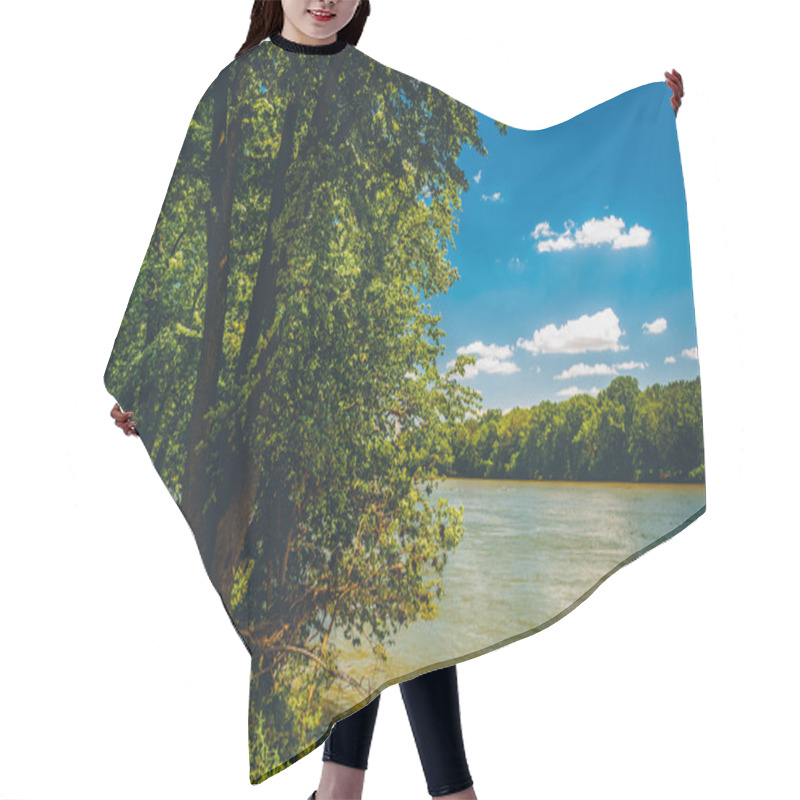 Personality  Trees Along The Potomac River On A Sunny Spring Day, Point Of Ro Hair Cutting Cape