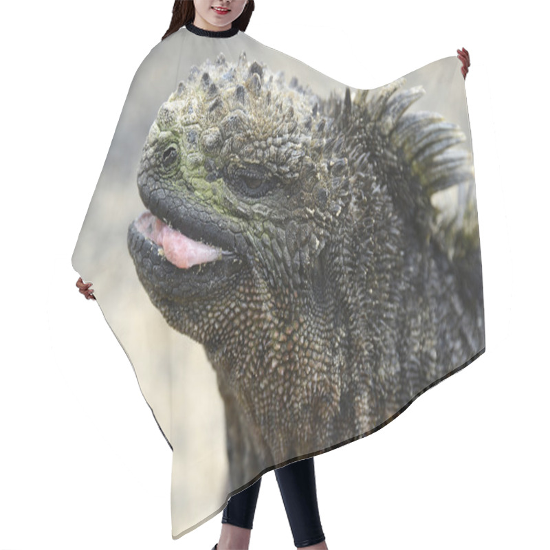 Personality  Galapagos Marine Iguana Hair Cutting Cape