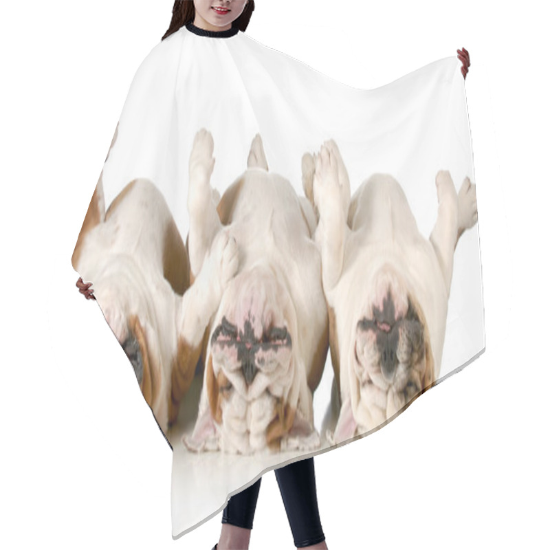 Personality  Sleeping Dogs Hair Cutting Cape