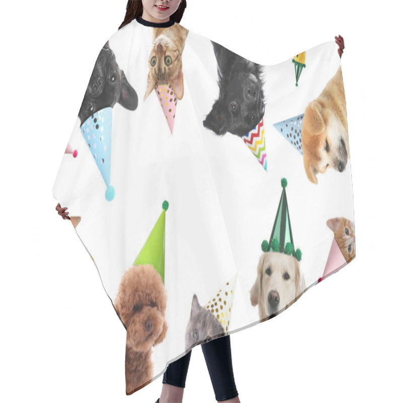 Personality  Many Different Animals With Party Hats On White Background, Collage Hair Cutting Cape