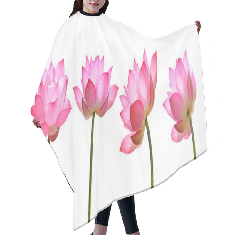 Personality  Lotus Flower Isolated On White Background. Hair Cutting Cape