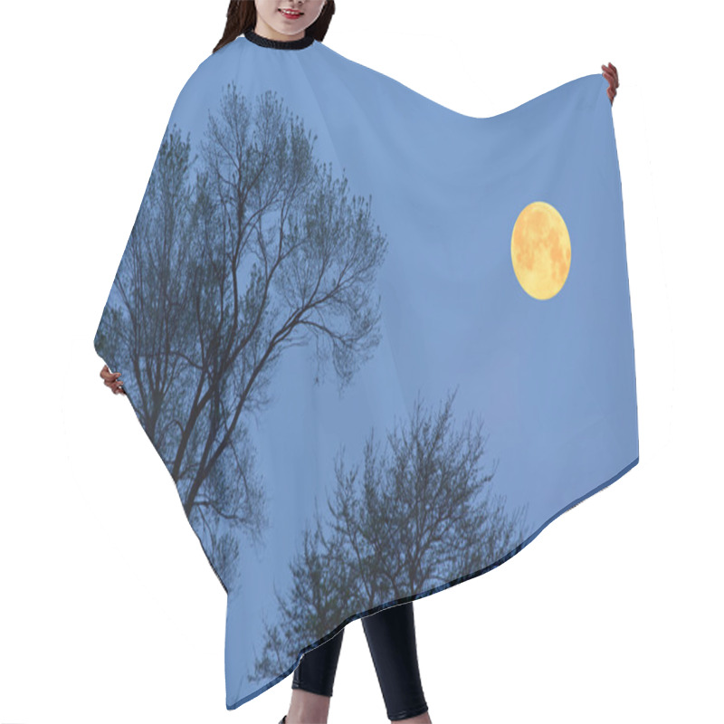 Personality  Full Moon And Bare Trees Hair Cutting Cape