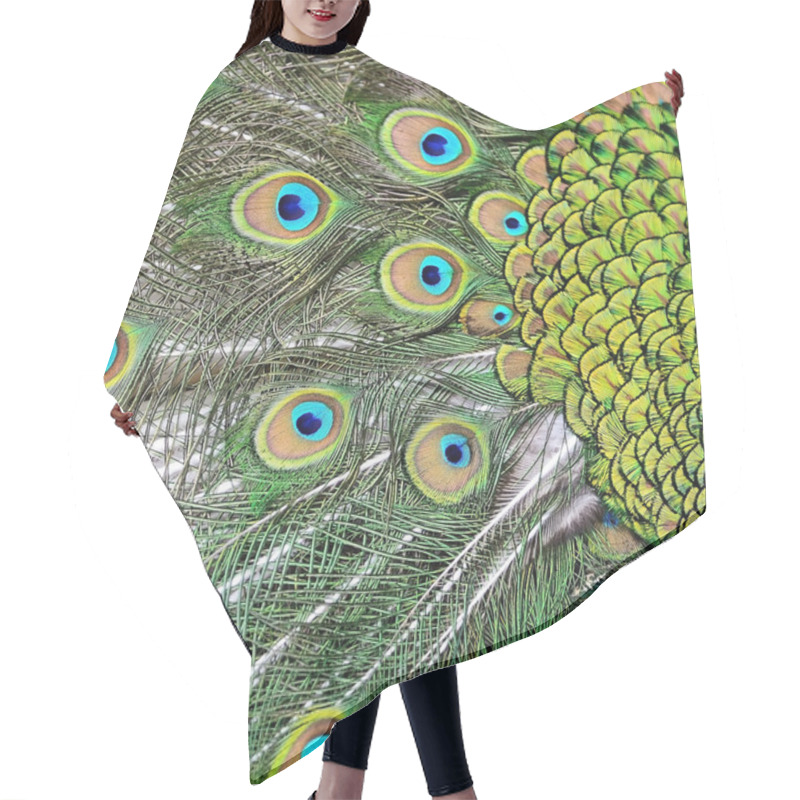 Personality  Male Green Peacock Feathers Hair Cutting Cape