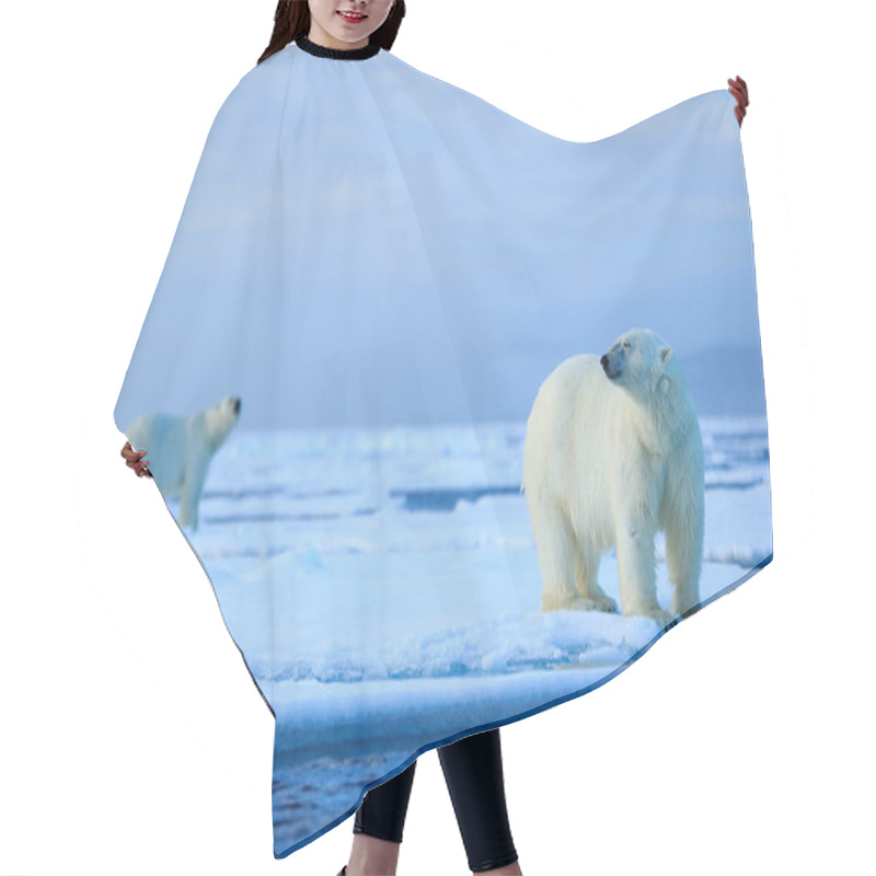 Personality  Polar Bears Couple Cuddling Hair Cutting Cape