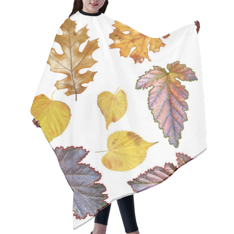 Personality  Set Of Autumn Leaves, Oak Leaves, Leaves Of Aspen Hair Cutting Cape