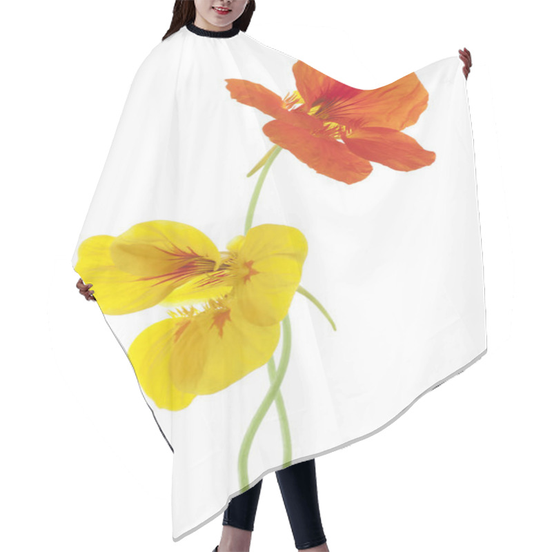 Personality  Nasturtium Hair Cutting Cape