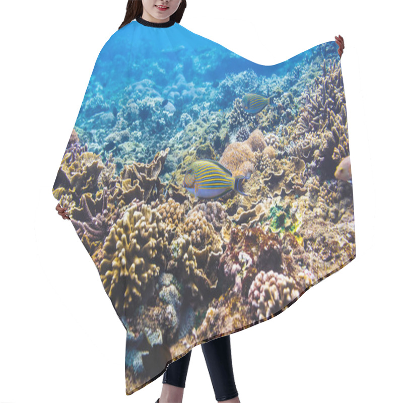 Personality  Tropical Fish And Corals Reef In Ocean. Hair Cutting Cape