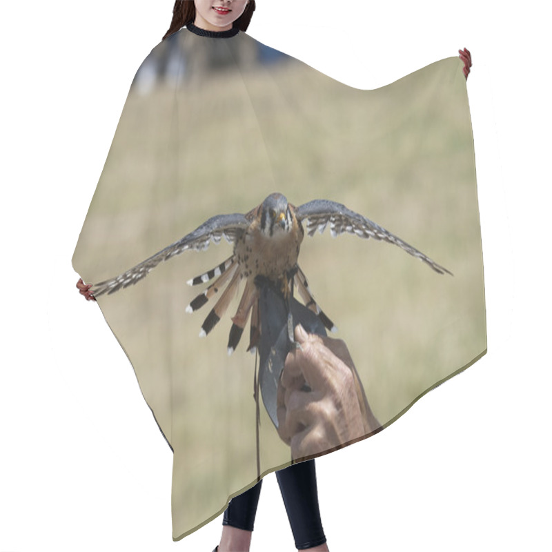 Personality  Falcon Hair Cutting Cape