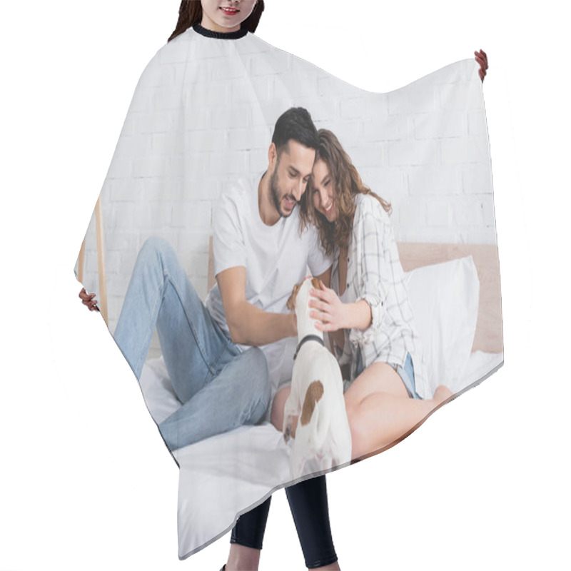 Personality  Happy Interracial Couple Cuddling Jack Russell Terrier In Bed Hair Cutting Cape