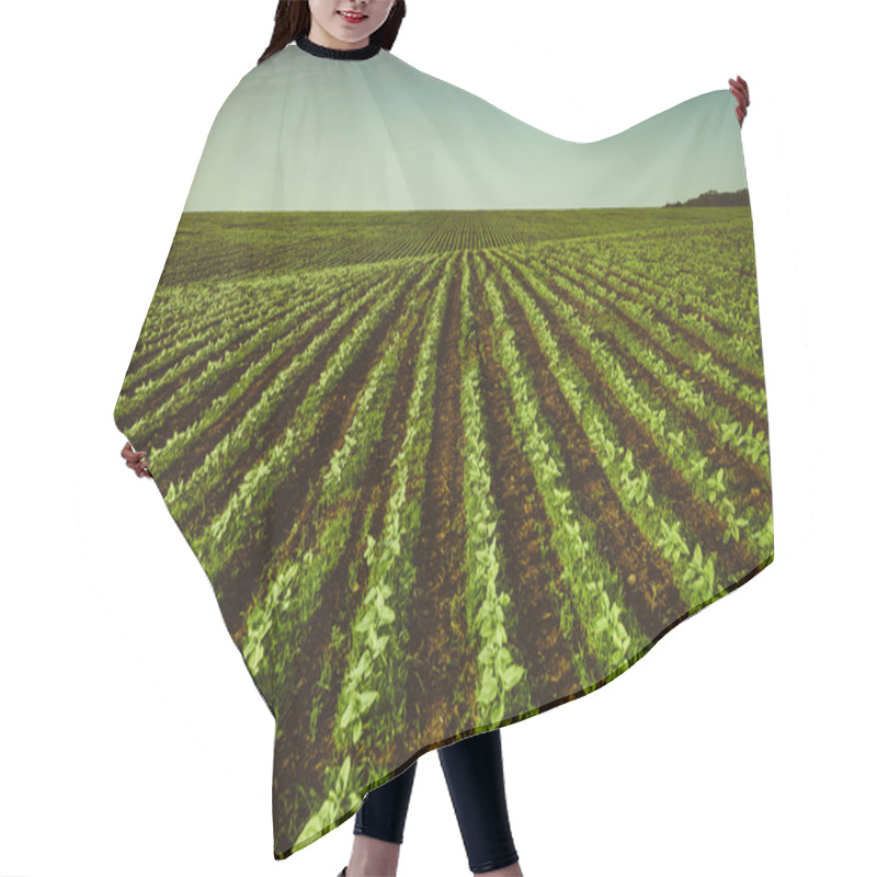 Personality  Spring Field Hair Cutting Cape