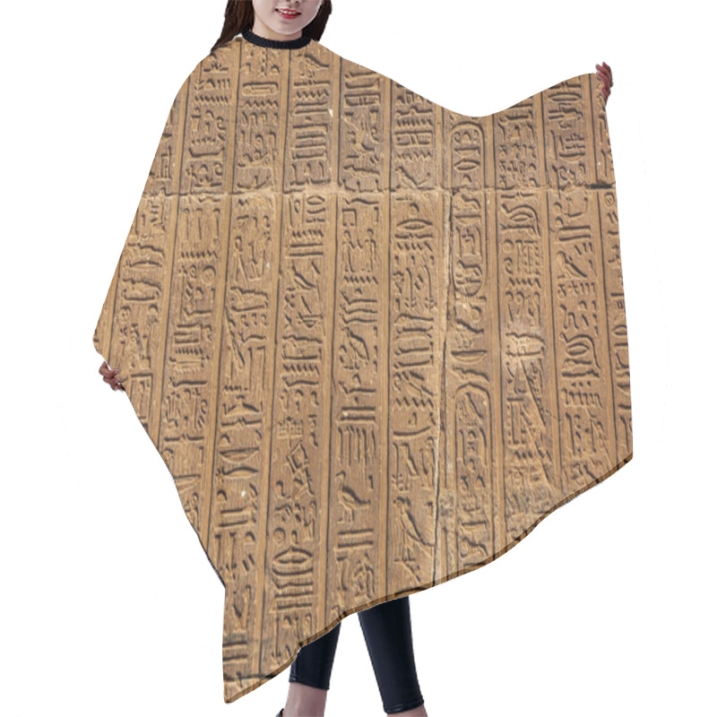 Personality  Ancient Egypt Hieroglyphics On Wall Hair Cutting Cape