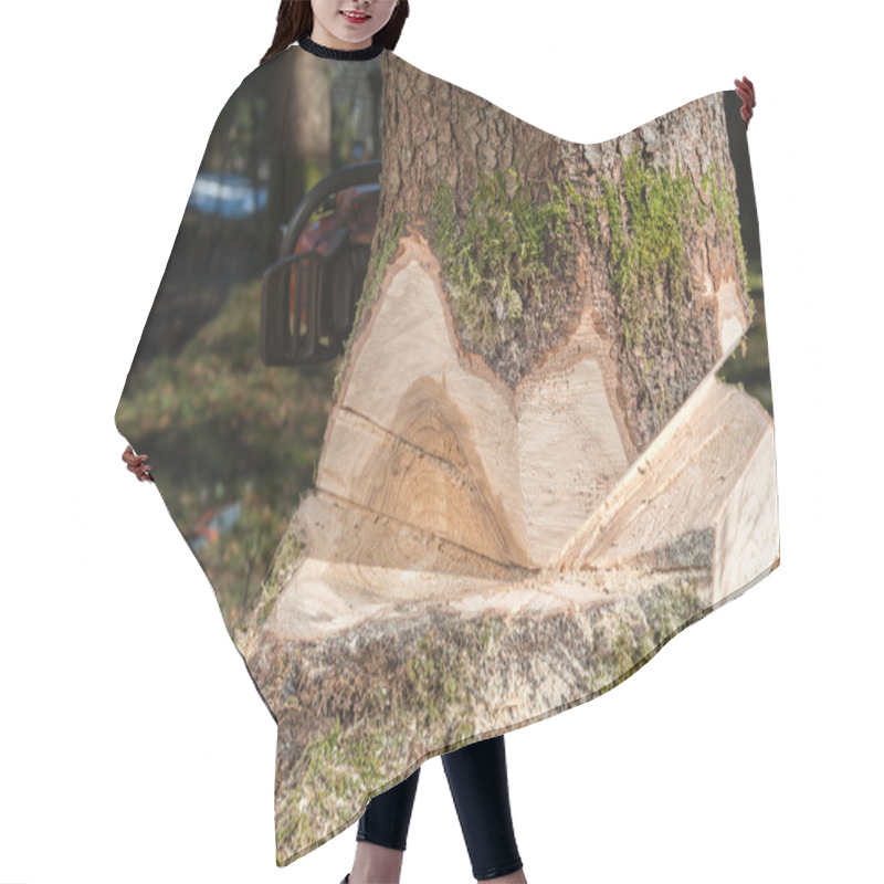 Personality  Lumberjack Cutting Tree In Forest Hair Cutting Cape