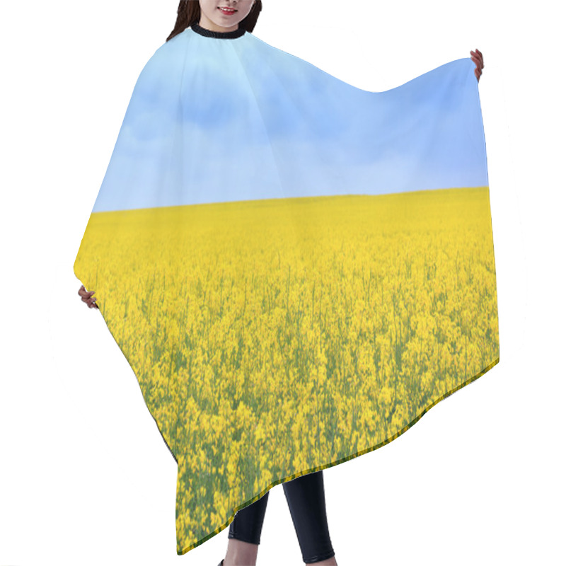 Personality  Canola Field Hair Cutting Cape