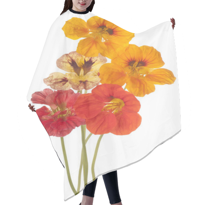 Personality  Nasturtium Flower Isolated Hair Cutting Cape