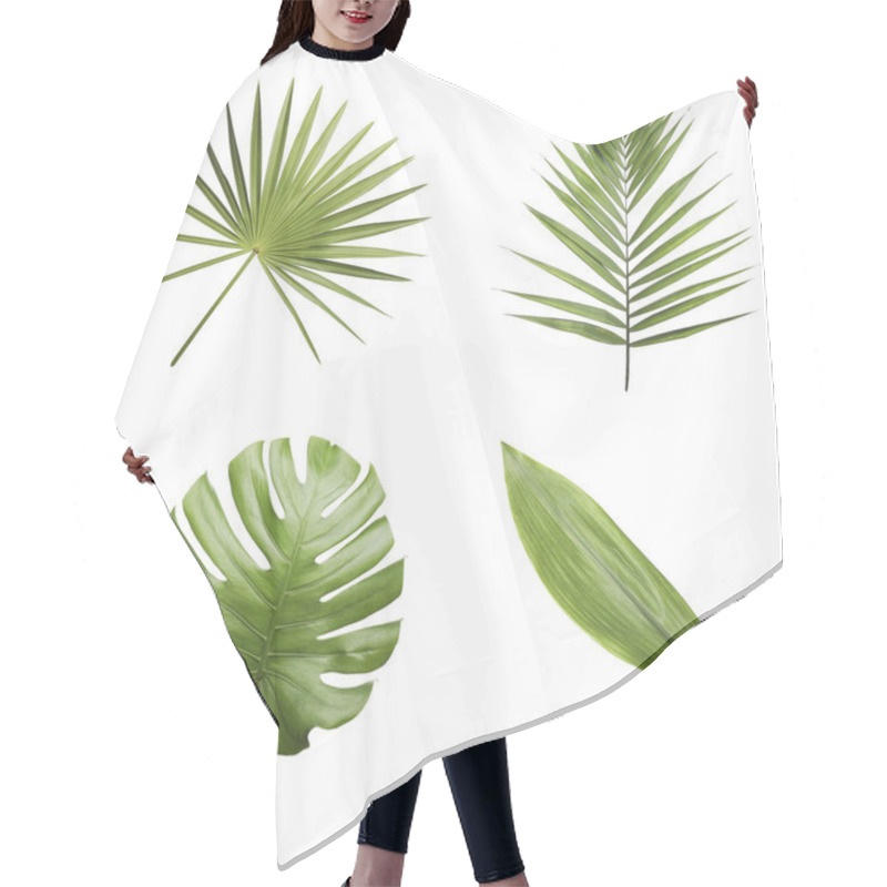 Personality  Set Of Different Fresh Tropical Leaves On White Background Hair Cutting Cape