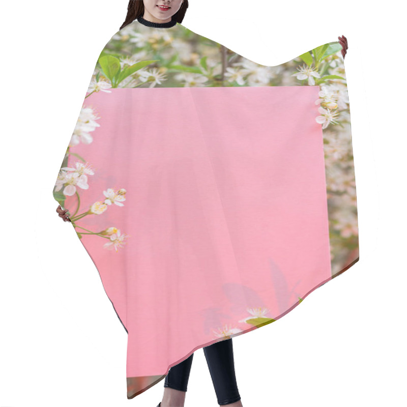 Personality  Pink Paper Blank Between Cherry Branches In Blossom. Hair Cutting Cape