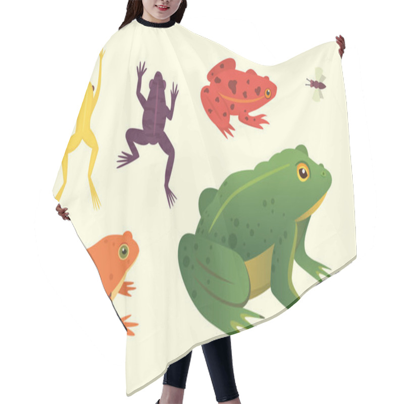 Personality  Exotic Amphibian Set. Frogs In Different Styles Cartoon Vector Illustration Isolated. Tropical Animals Hair Cutting Cape