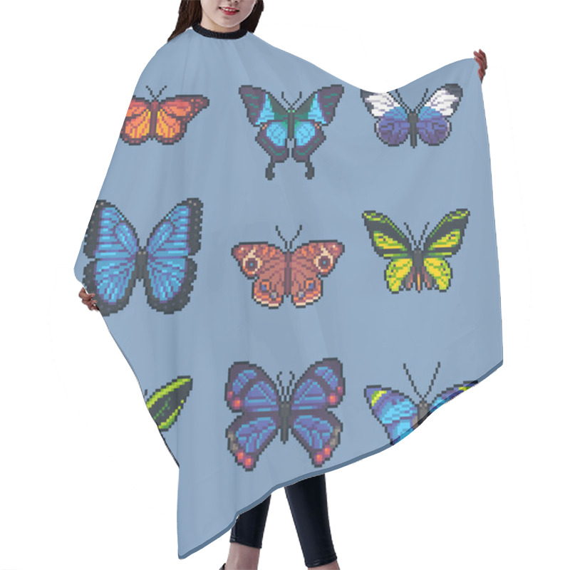 Personality  Pixel Art Vector Set Of Different Butterflies And Moth. Hair Cutting Cape