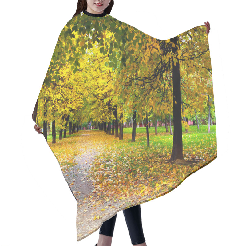 Personality  Vivid Alley In Autumn Hair Cutting Cape