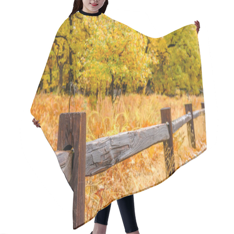 Personality  Fence In Autumn Park Hair Cutting Cape