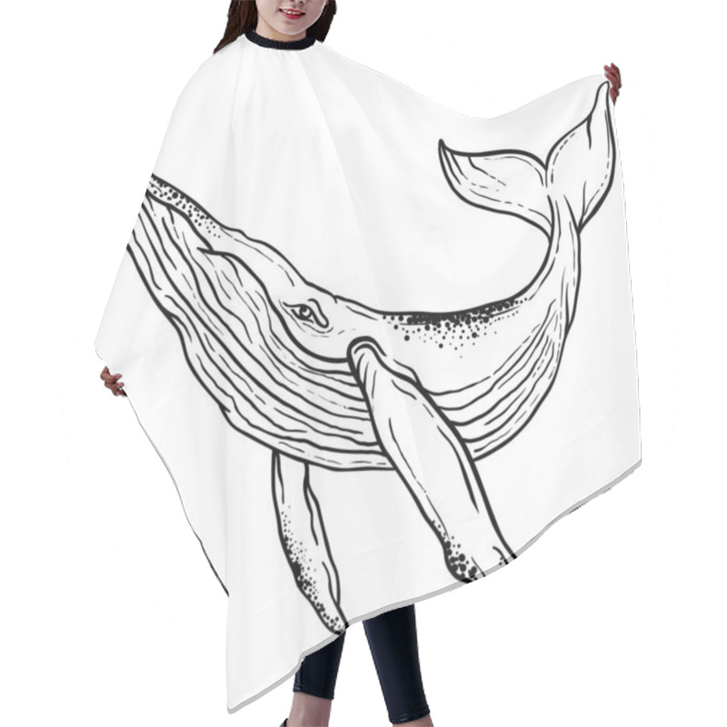 Personality  Vector Illustration Of A Whale On A White Background, Graphics, Hand Drawn Whales Hair Cutting Cape