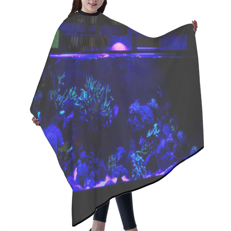 Personality  Coral Reef Aquarium Tank Hair Cutting Cape