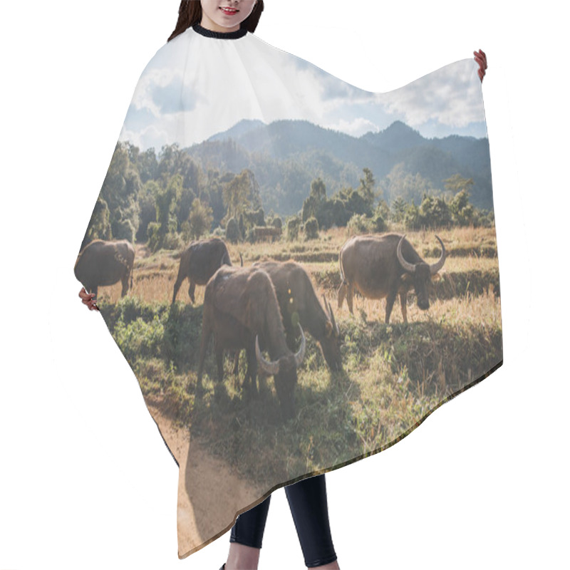 Personality  Bulls Hair Cutting Cape