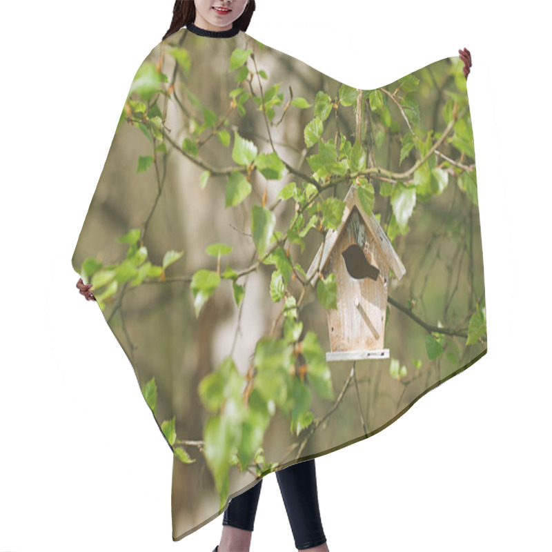 Personality  Little Birdhouse In Spring New Leaves Hair Cutting Cape