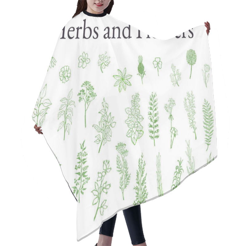 Personality  Illustration Set Of Herbs, Plants And Flowers Sketches Hair Cutting Cape