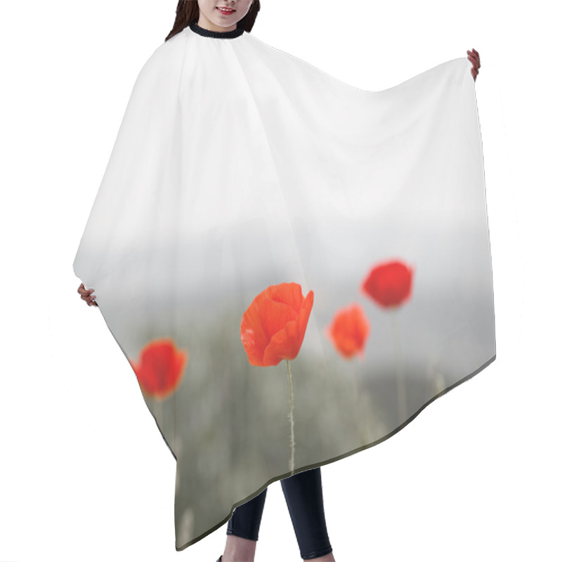 Personality  Red Poppies Hair Cutting Cape