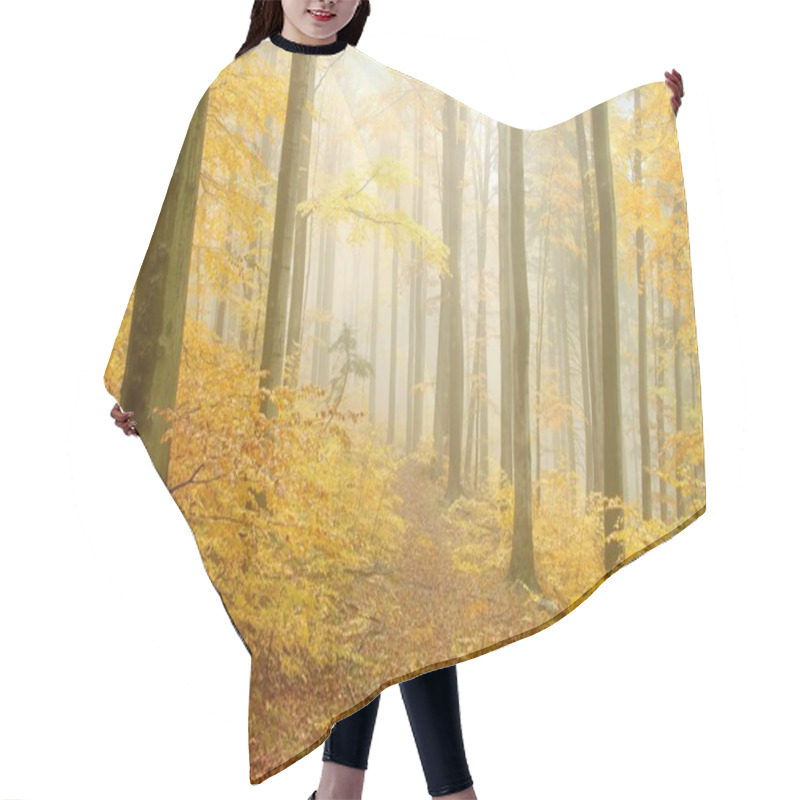 Personality  Autumn Beech Forest Hair Cutting Cape