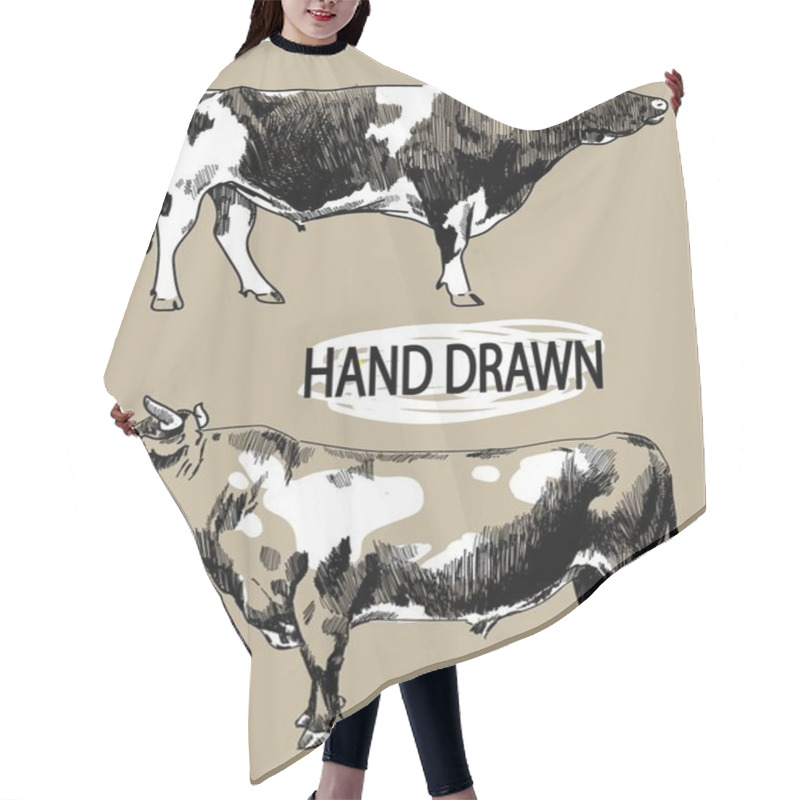 Personality  Set Of Images Of A Cow. Image Set Of Farm Animals. . Vintage Style Image, Vintage Image. Freehand Drawing. Meat And Milk. Hair Cutting Cape