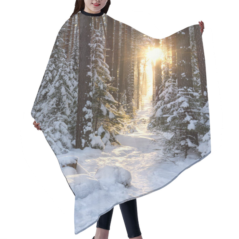 Personality  Forest Path To The Sun. Ural Mountains. Coniferous Forest. Winter Landscape. Russia Hair Cutting Cape