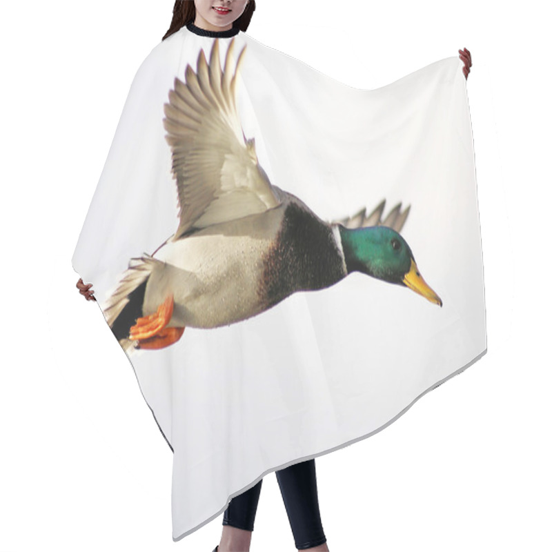 Personality  Mallard Duck Flying Free Hair Cutting Cape