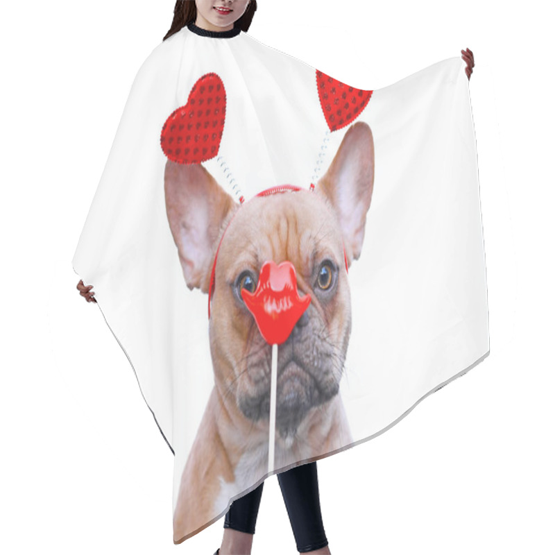 Personality  French Bulldog Dog Wearing Valentine Headband With Hearts Looking At Red Kiss Lips Photo Prop In Front Of Face Isolated On White Background Hair Cutting Cape