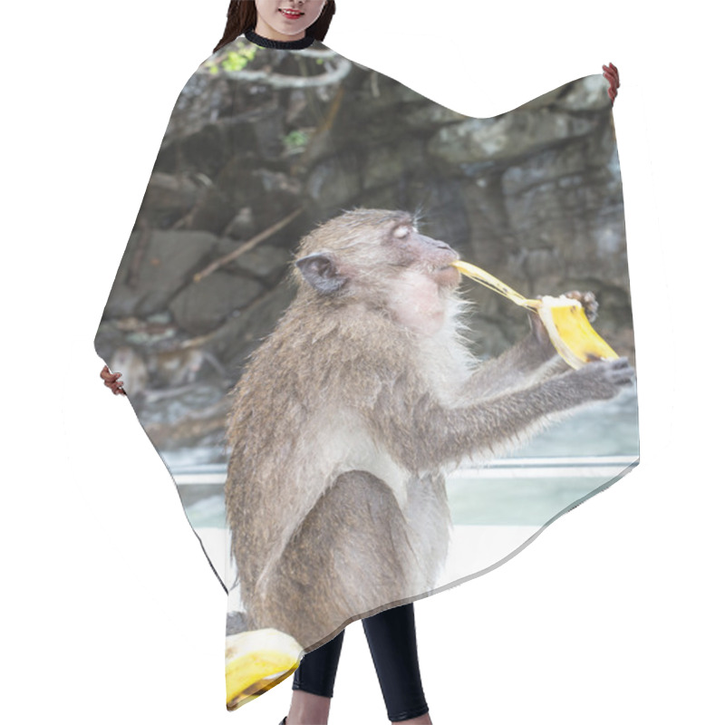 Personality  Monkey Banana Hair Cutting Cape