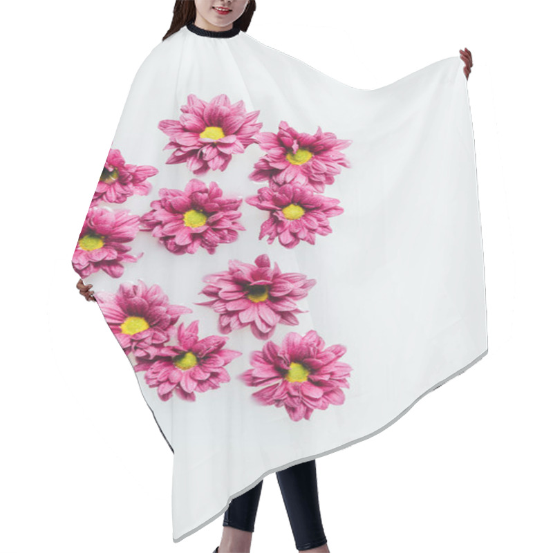 Personality  Top View Of Beautiful Pink Chrysanthemum Flowers In Milk Backdrop Hair Cutting Cape