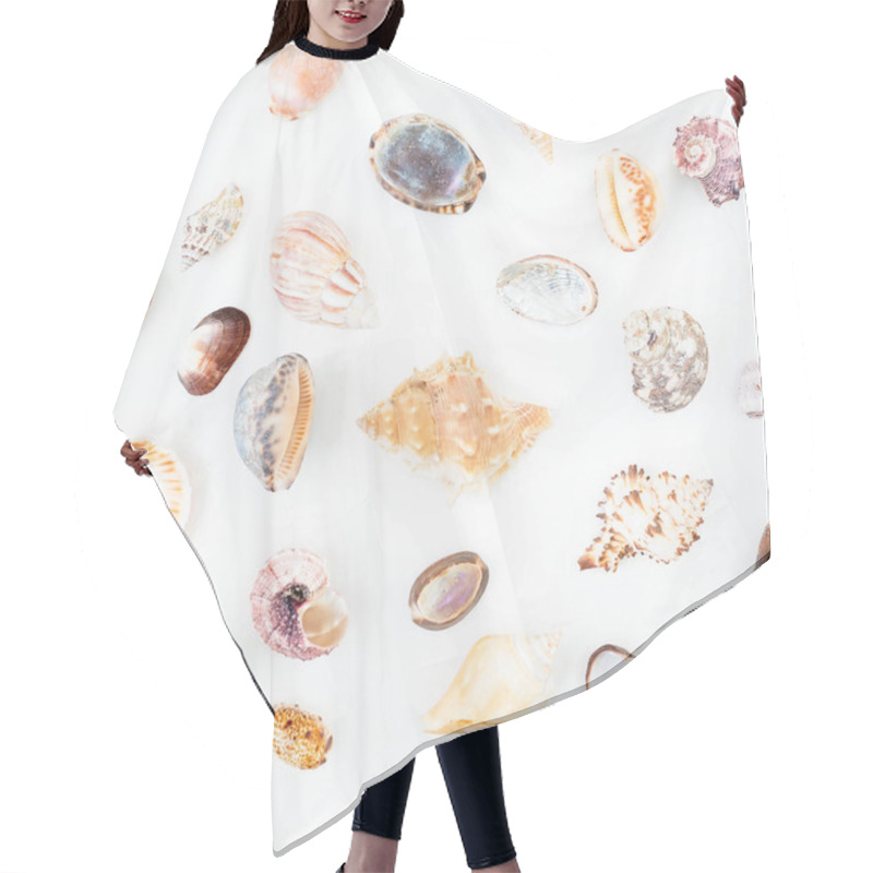 Personality  Various Sea Shells On White Hair Cutting Cape