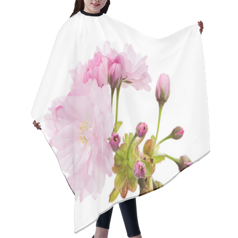 Personality  Isolated Twig With Pink Cherry Blossoms Hair Cutting Cape