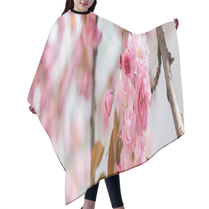 Personality  Close Up Of Blooming Flowers On Twig Of Cherry Tree, Banner Hair Cutting Cape