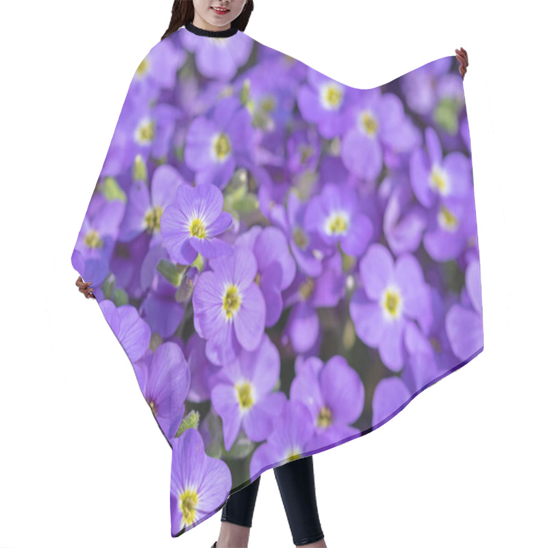 Personality  Blooming Blue Aubrieta, In The Spring Hair Cutting Cape