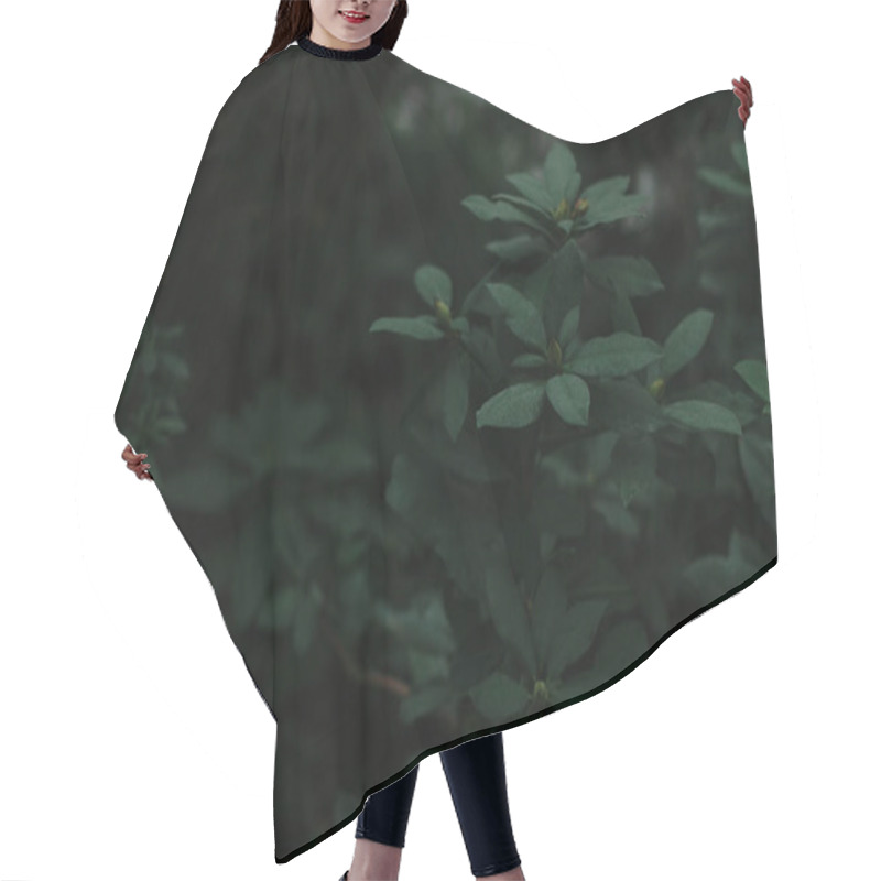 Personality  Dark Green Texture Of Leaves And Grass Hair Cutting Cape