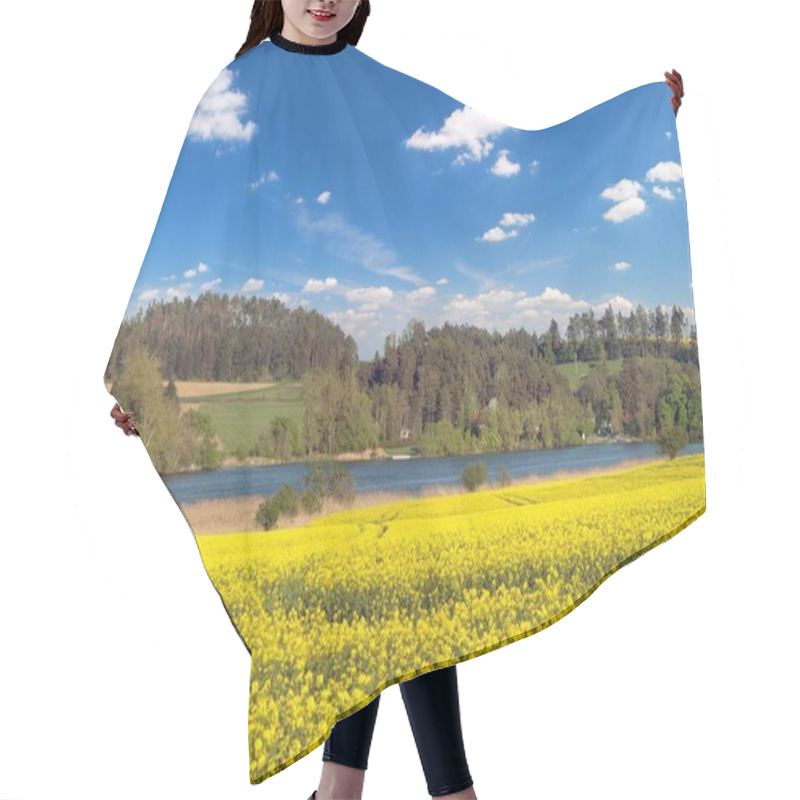 Personality  Rapeseed, Canola Or Colza Field In Latin Brassica Napus With Pond And Forest, Rape Seed Is Plant For Green Energy And Green Industry, Springtime Golden Flowering Field  Hair Cutting Cape