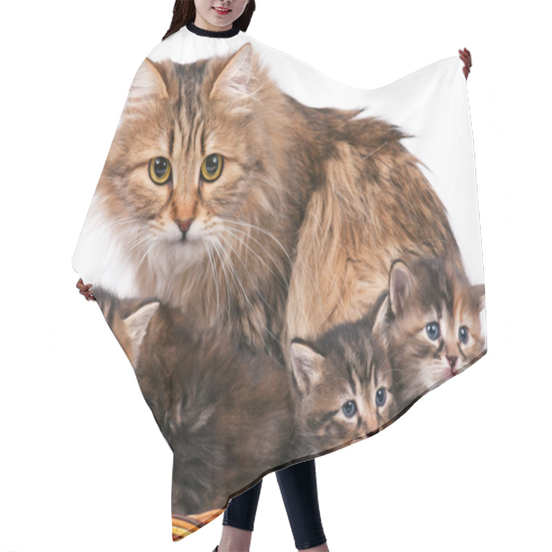 Personality  Siberian Kittens Hair Cutting Cape