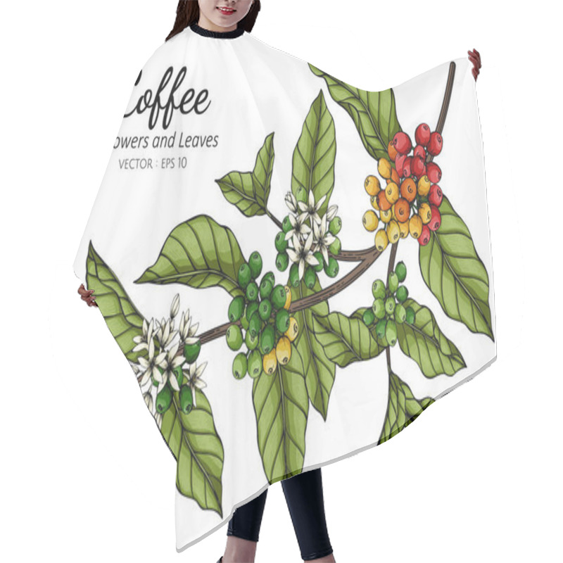 Personality  Coffee Flower And Leaf Drawing Illustration With Line Art On White Backgrounds. Hair Cutting Cape