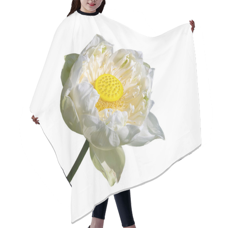 Personality  Lotus Flower On White Background Hair Cutting Cape